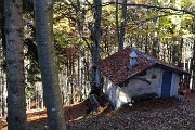 Dalla Culmine di S. Pietro allo Zuc di Maesimo sul sentiero alto estivo 21 DOL il 19 ottobre 2015   - FOTOGALLERY